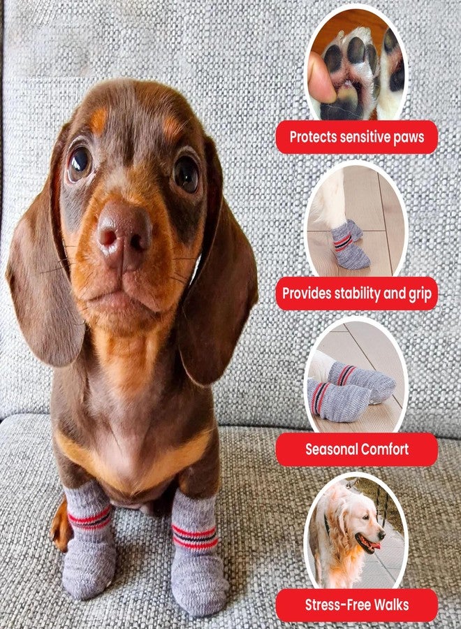 تريكسي جوارب تريكسي المانعة للانزلاق للكلاب - جوارب واقية للكلاب من الانزلاق على الأرضيات الباردة وحماية الجروح - مجموعة واحدة من 4 جوارب مانعة للانزلاق (مقاس كبير، رمادي، قد يختلف اللون) - Image 4